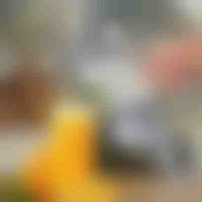 Ръчна сокоизстисквачка за плодове | JUVOPRESS