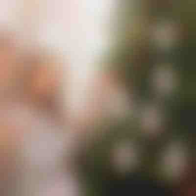 Коледни орнаменти за пари (4 бр.) | WEALTHMAS