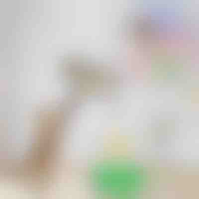 Електрическа играчка за дразнене на котки | BIRDIETOY