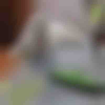 Моп за премахване на косми от домашни любимци | PAWMOP