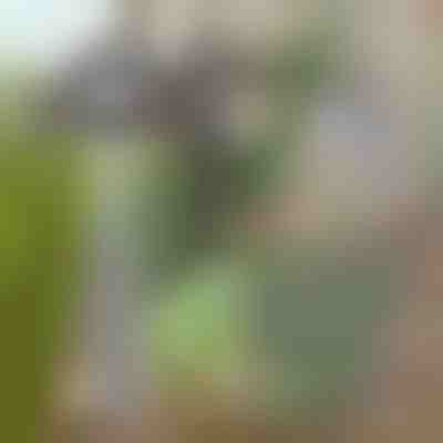 Градинска мотика за лесно премахване на плевели | GRASSOE