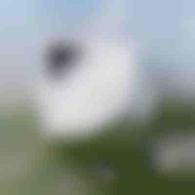 Лесно почистване на прозорци | WINDOWSWIPE