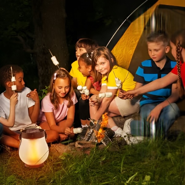 FLAMLUX-3831127612464-N-2__290725